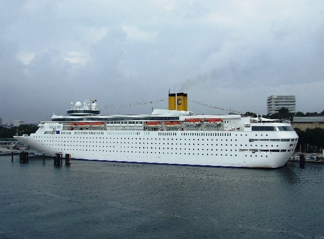 White and Yellow.JPG